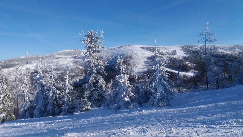Domek Skalite W Szczyrku Экстерьер фото